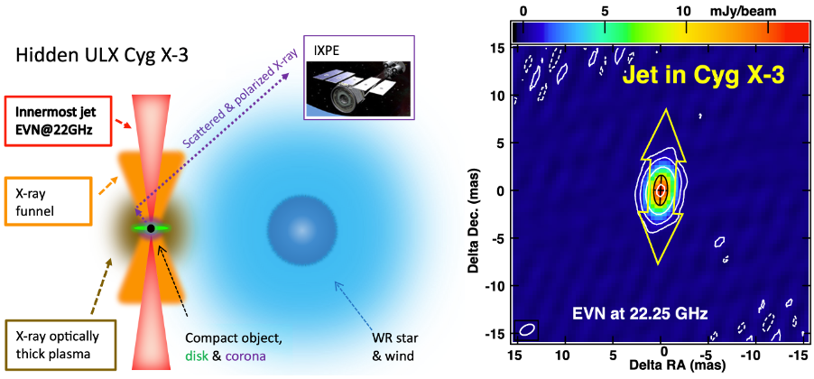 Uncovering the innermost jet in the hidden ultra-luminous X